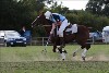 UKPA  NC Sat_1556